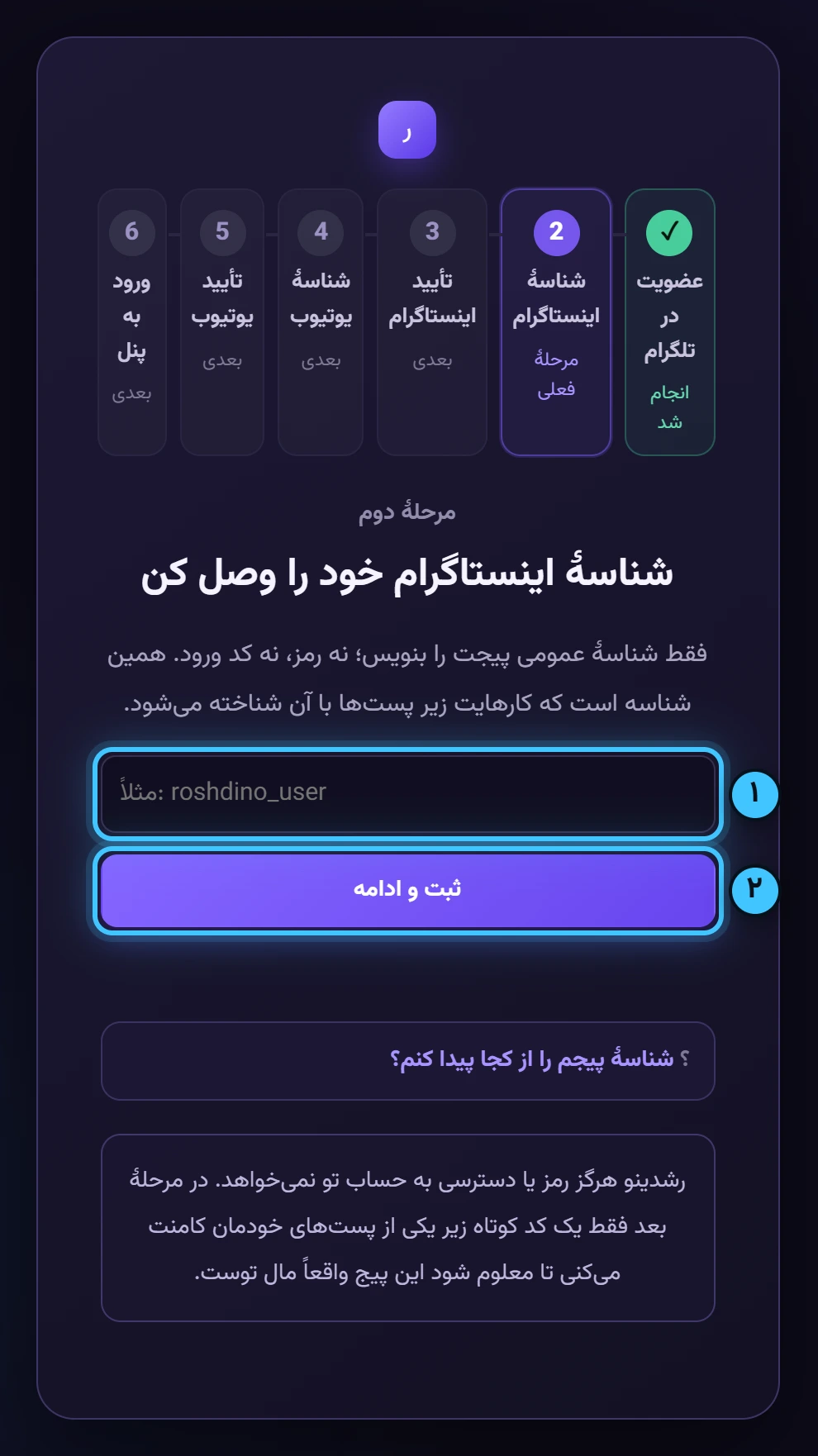 شناسهٔ عمومی پیجت را بنویس — تصویر واقعی پنل رشدینو
